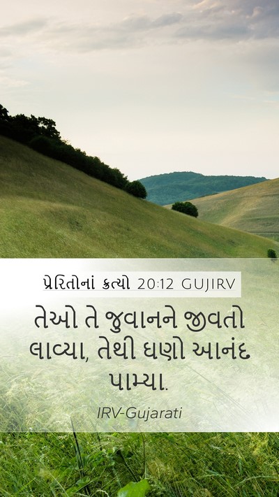 પ્રેરિતોનાં ક્રત્યો 20:12 GUJIRV Bible Verse Image