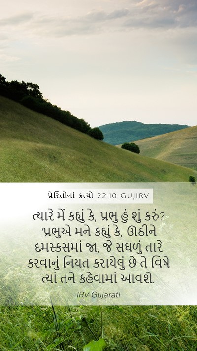 પ્રેરિતોનાં ક્રત્યો 22:10 GUJIRV Bible Verse Image