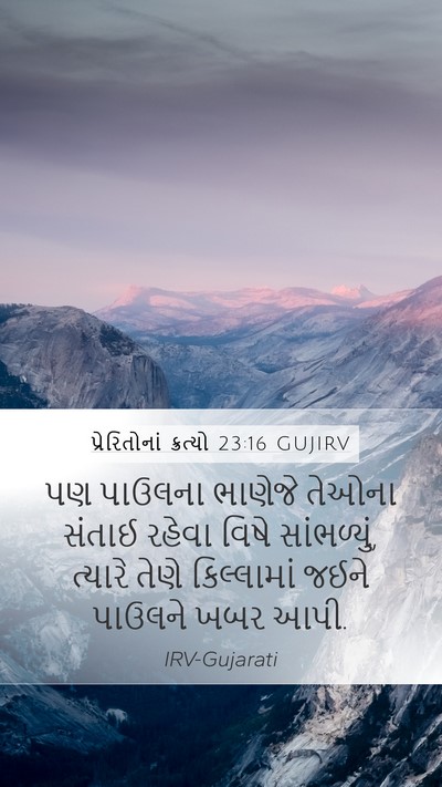 પ્રેરિતોનાં ક્રત્યો 23:16 GUJIRV Bible Verse Image