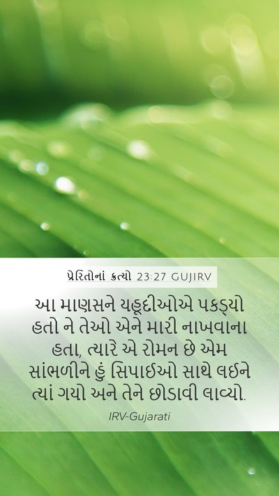 પ્રેરિતોનાં ક્રત્યો 23:27 GUJIRV Bible Verse Image