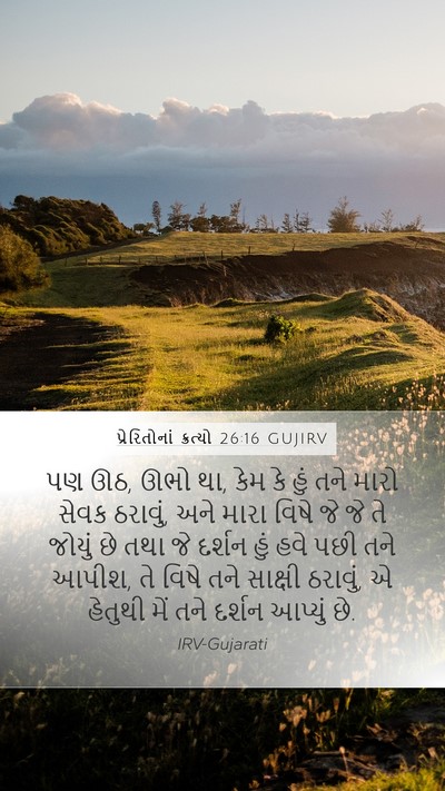 પ્રેરિતોનાં ક્રત્યો 26:16 GUJIRV Bible Verse Image