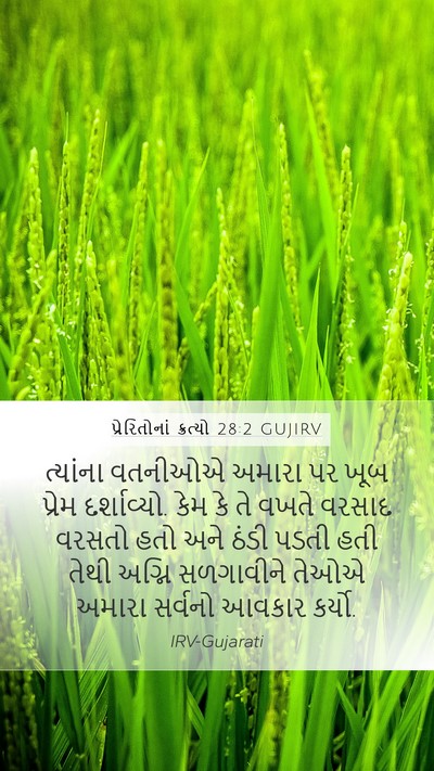 પ્રેરિતોનાં ક્રત્યો 28:2 GUJIRV Bible Verse Image