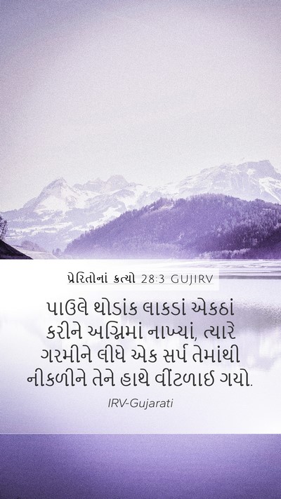 પ્રેરિતોનાં ક્રત્યો 28:3 GUJIRV Bible Verse Image