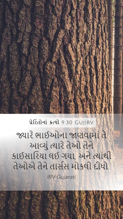 પ્રેરિતોનાં ક્રત્યો 9:30 GUJIRV Bible Verse Image