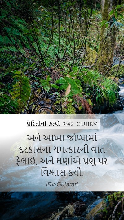 પ્રેરિતોનાં ક્રત્યો 9:42 GUJIRV Bible Verse Image