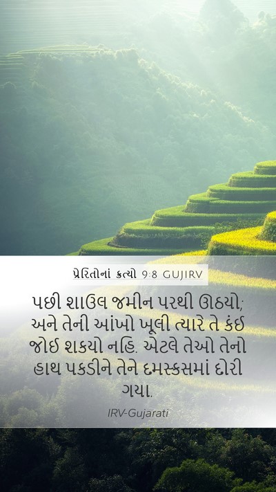 પ્રેરિતોનાં ક્રત્યો 9:8 GUJIRV Bible Verse Image