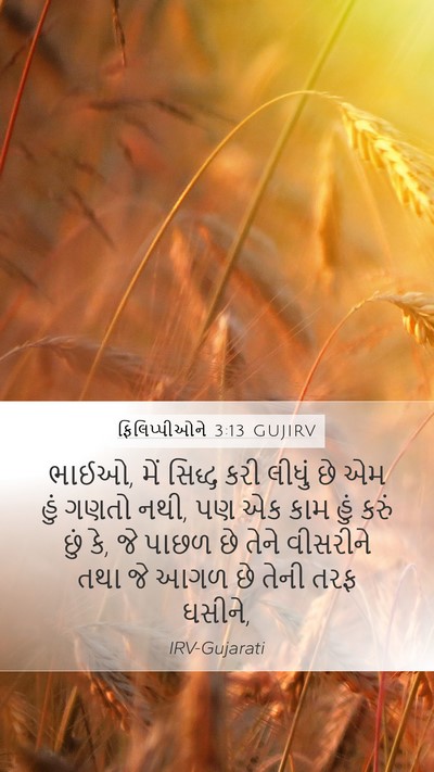 ફિલિપ્પીઓને 3:13 GUJIRV Bible Verse Image