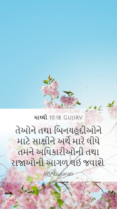 માથ્થી 10:18 GUJIRV Bible Verse Image