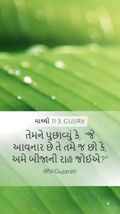 માથ્થી 11:3 GUJIRV Bible Verse Image