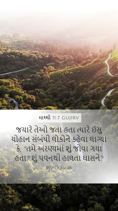 માથ્થી 11:7 GUJIRV Bible Verse Image
