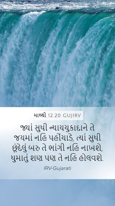 માથ્થી 12:20 GUJIRV Bible Verse Image