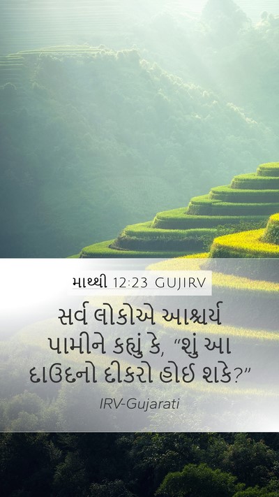 માથ્થી 12:23 GUJIRV Bible Verse Image