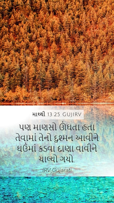 માથ્થી 13:25 GUJIRV Bible Verse Image