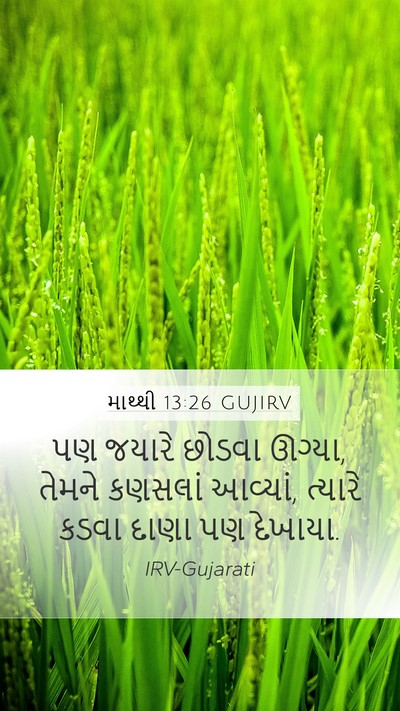 માથ્થી 13:26 GUJIRV Mobile Phone Wallpaper - પણ જયારે છોડવા - Mobile Bible Verse Wallpaper