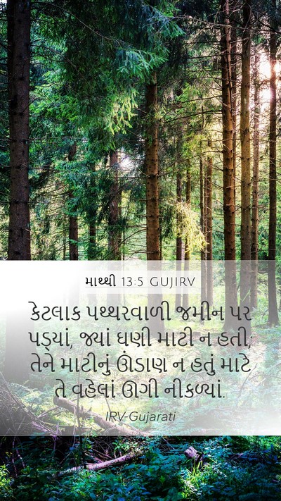 માથ્થી 13:5 GUJIRV Bible Verse Image