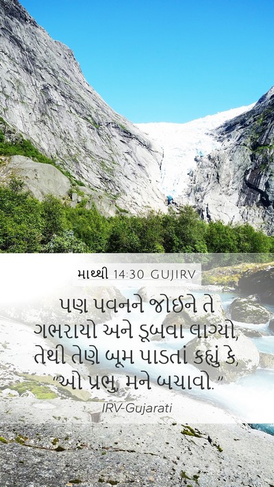 માથ્થી 14:30 GUJIRV Bible Verse Image