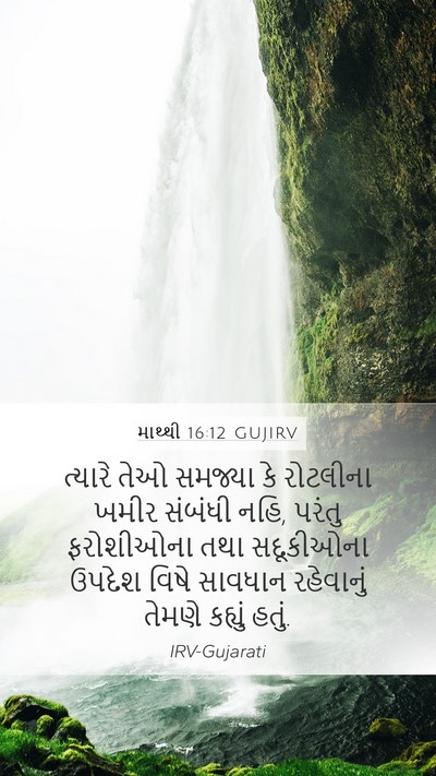 માથ્થી 16:12 GUJIRV Bible Verse Image