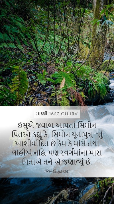 માથ્થી 16:17 GUJIRV Bible Verse Image