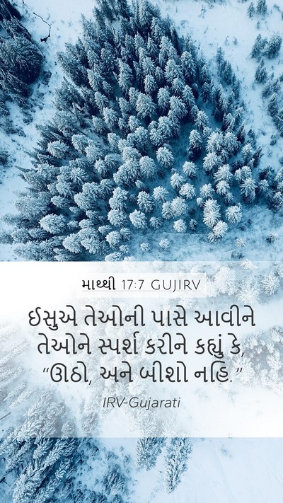 માથ્થી 17:7 GUJIRV Bible Verse Image
