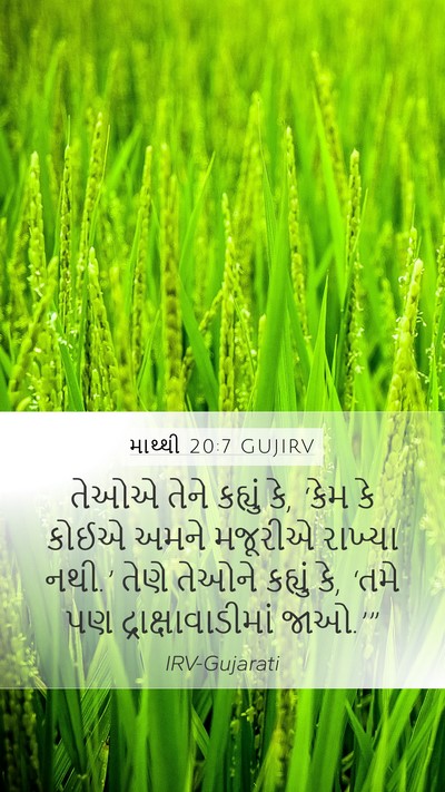 માથ્થી 20:7 GUJIRV Mobile Phone Wallpaper - તેઓએ તેને કહ્યું - Mobile Bible Verse Wallpaper
