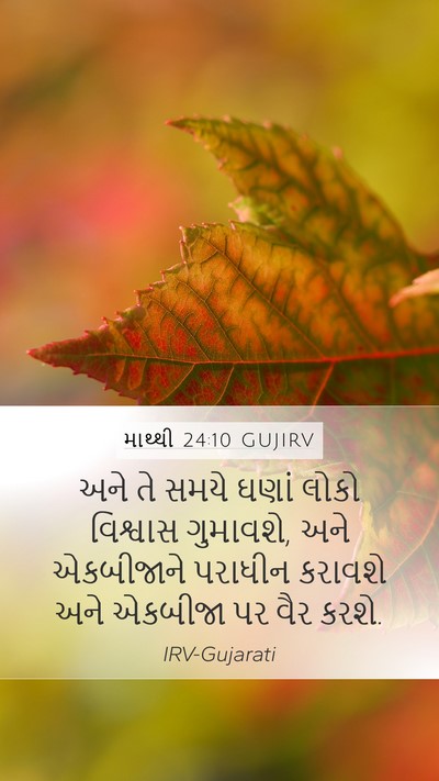 માથ્થી 24:10 GUJIRV Bible Verse Image