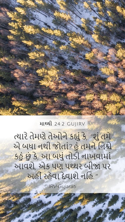 માથ્થી 24:2 GUJIRV Bible Verse Image
