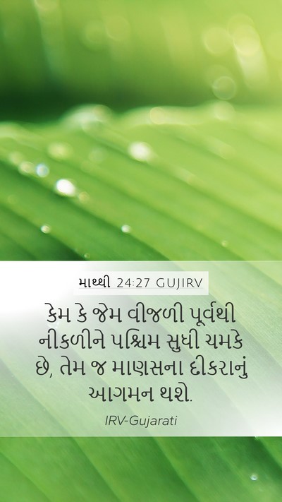 માથ્થી 24:27 GUJIRV Bible Verse Image