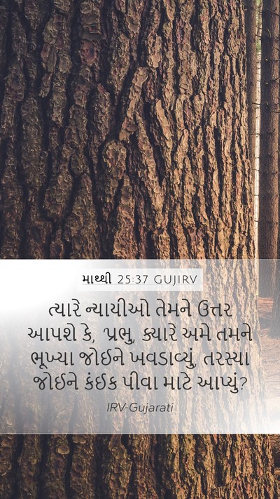 માથ્થી 25:37 GUJIRV Mobile Phone Wallpaper - ત્યારે ન્યાયીઓ - Mobile Bible Verse Wallpaper