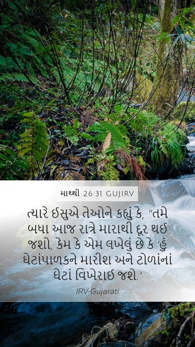 માથ્થી 26:31 GUJIRV Bible Verse Image