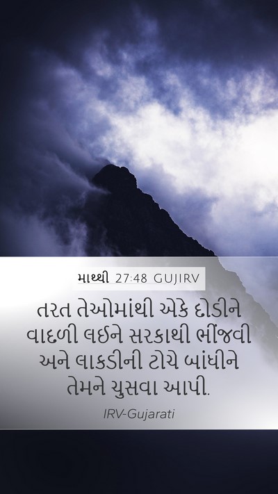 માથ્થી 27:48 GUJIRV Bible Verse Image