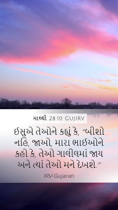 માથ્થી 28:10 GUJIRV Bible Verse Image