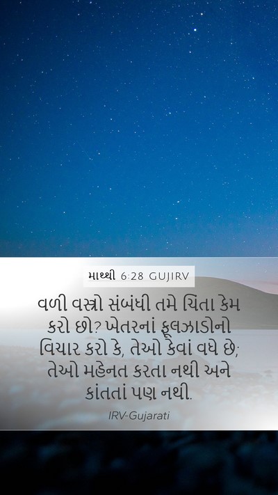 માથ્થી 6:28 GUJIRV Bible Verse Image