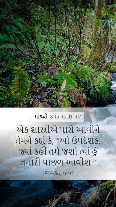 માથ્થી 8:19 GUJIRV Bible Verse Image
