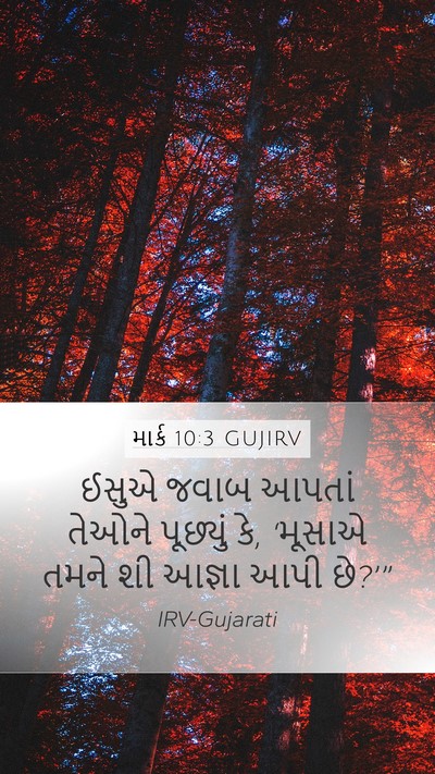 માર્ક 10:3 GUJIRV Mobile Phone Wallpaper - ઈસુએ જવાબ આપતાં - Mobile Bible Verse Wallpaper