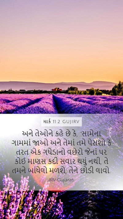 માર્ક 11:2 GUJIRV Bible Verse Image