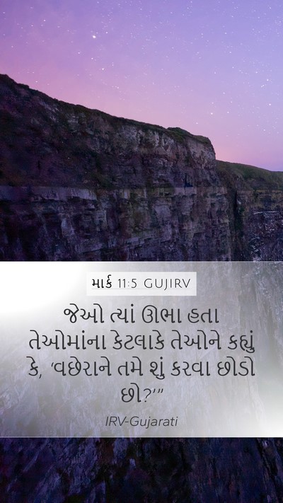 માર્ક 11:5 GUJIRV Mobile Phone Wallpaper - જેઓ ત્યાં ઊભા હતા - Mobile Bible Verse Wallpaper