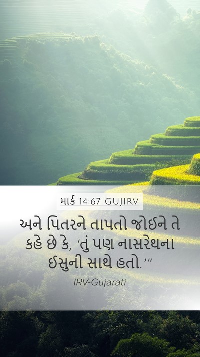 માર્ક 14:67 GUJIRV Bible Verse Image