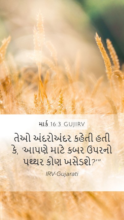 માર્ક 16:3 GUJIRV Bible Verse Image
