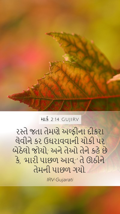માર્ક 2:14 GUJIRV Bible Verse Image