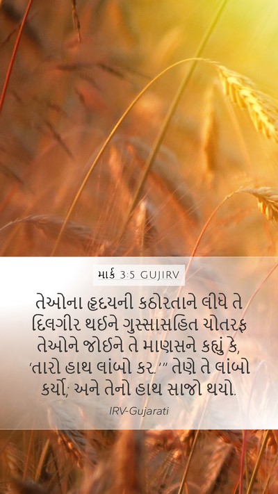 માર્ક 3:5 GUJIRV Bible Verse Image