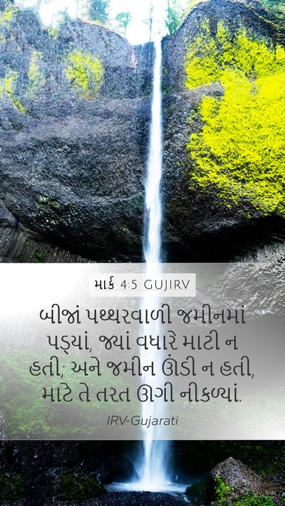 માર્ક 4:5 GUJIRV Bible Verse Image