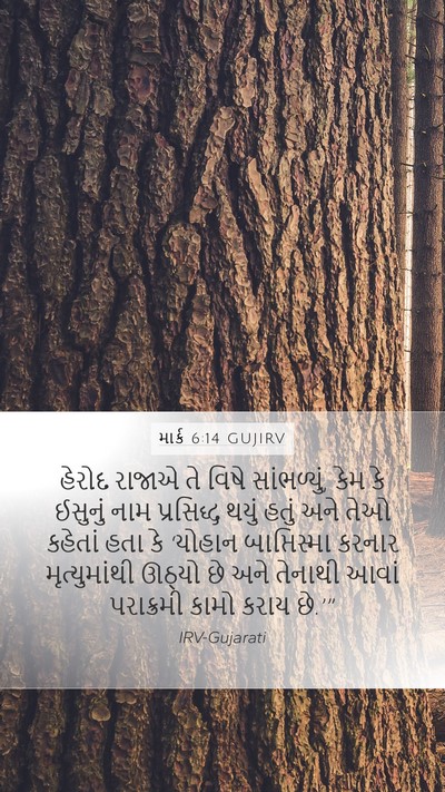 માર્ક 6:14 GUJIRV Bible Verse Image