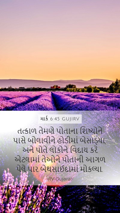 માર્ક 6:45 GUJIRV Bible Verse Image