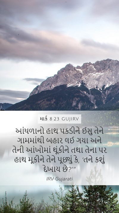 માર્ક 8:23 GUJIRV Bible Verse Image