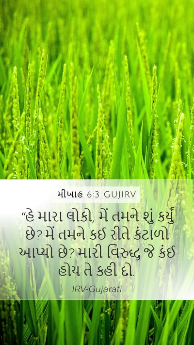 મીખાહ 6:3 GUJIRV Bible Verse Image