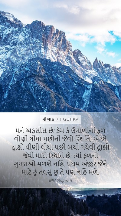 મીખાહ 7:1 GUJIRV Bible Verse Image
