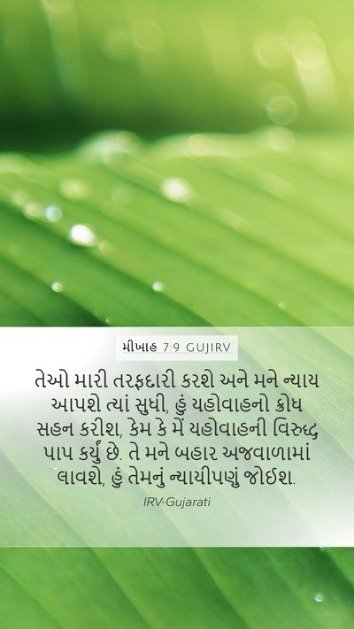 મીખાહ 7:9 GUJIRV Bible Verse Image