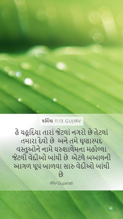 યર્મિયા 11:13 GUJIRV Bible Verse Image