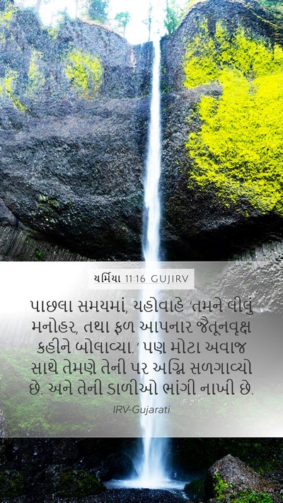 યર્મિયા 11:16 GUJIRV Bible Verse Image