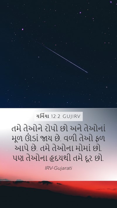 યર્મિયા 12:2 GUJIRV Bible Verse Image